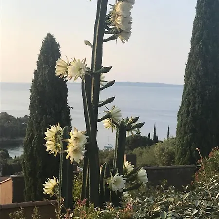 Maison Calme Tres Belle Vue Lavandou Holiday home *